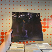 Load image into Gallery viewer, [USED] WOLF ALICE - VISIONS OF A LIFE (2xLP)
