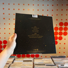 Load image into Gallery viewer, [USED] BIG GRAMS - BIG GRAMS (12" EP)
