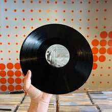 Load image into Gallery viewer, [USED] BUILT TO SPILL - THERE IS NO ENEMY (2xLP)
