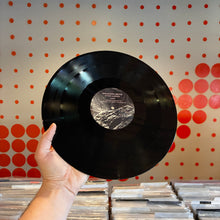 Load image into Gallery viewer, [USED] KIKAGAKU MOYO - STONE GARDEN (12" EP)
