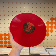 Load image into Gallery viewer, [USED] BLACKBEAR - ANONYMOUS (2xLP)
