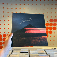 Load image into Gallery viewer, [USED] DOMINIC FIKE - WHAT COULD POSSIBLY GO WRONG (LP)
