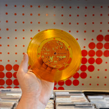 Load image into Gallery viewer, [USED] TREY ANASTASIO - TRAVELER (LP+7")
