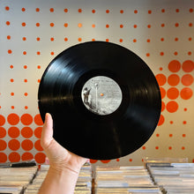 Load image into Gallery viewer, [USED] BUILT TO SPILL - THERE IS NO ENEMY (2xLP)
