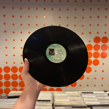 Load image into Gallery viewer, [USED] RAINCOATS - ODYSHAPE (LP)
