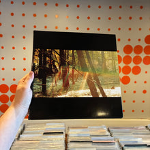 Load image into Gallery viewer, [USED] CHILDISH GAMBINO - CAMP (2xLP)
