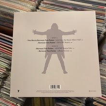 Load image into Gallery viewer, DAVID GILMOUR - BETWEEN TWO POINTS [RSD25] (LP)
