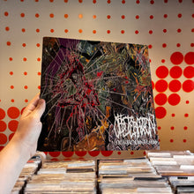 Load image into Gallery viewer, [USED] NEKROPSALMS - OBLITERATION (LP+7")
