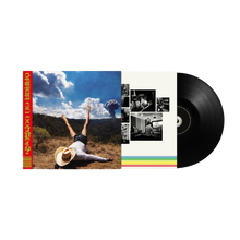 Load image into Gallery viewer, GEESE - 3D COUNTRY (LP/CD)
