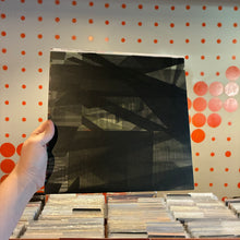 Load image into Gallery viewer, [USED] WILCO - ODE TO JOY [CHICAGO EDITION] (LP)
