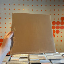 Load image into Gallery viewer, [USED] MIKE - BEWARE OF THE MONKEY (LP)
