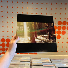 Load image into Gallery viewer, [USED] CHILDISH GAMBINO - CAMP (2xLP)
