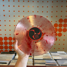 Load image into Gallery viewer, [USED] STURGILL SIMPSON - SOUND &amp; FURY (LP)
