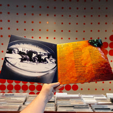 Load image into Gallery viewer, [USED] PHISH - A PICTURE OF NECTAR (2xLP)
