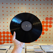 Load image into Gallery viewer, [USED] DOMINIC FIKE - WHAT COULD POSSIBLY GO WRONG (LP)
