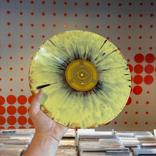 Load image into Gallery viewer, [USED] TREY ANASTASIO - PAPER WHEELS (2xLP BOX SET)
