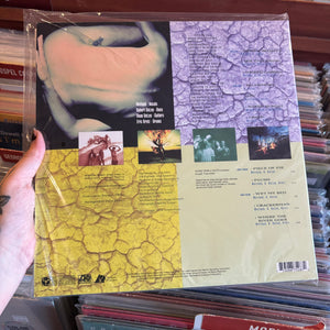 STONE TEMPLE PILOTS - CORE (ANALOGUE PRODUCTIONS 2xLP) – 10,000 Hz