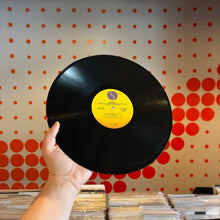 Load image into Gallery viewer, [USED] DINOSAUR - KISS ME AGAIN (12" EP)
