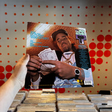 Load image into Gallery viewer, [USED] ICE T - RHYME PAYS (LP)
