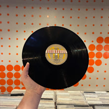 Load image into Gallery viewer, [USED] POLICE - REGGATTA DE BLANC (LP)
