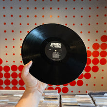 Load image into Gallery viewer, [USED] BIG STAR - 3RD (LP)
