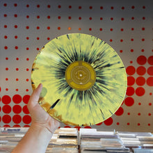 Load image into Gallery viewer, [USED] TREY ANASTASIO - PAPER WHEELS (2xLP BOX SET)

