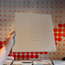 Load image into Gallery viewer, [USED] GOOSE - ALIVE AND WELL (4xLP BOX SET)
