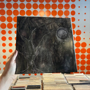 [USED] QUADECA - I DIDN'T MEAN TO HAUNT YOU (2xLP)