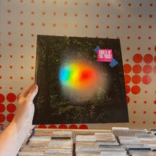 Load image into Gallery viewer, [USED] TREY ANASTASIO - GHOSTS OF THE FOREST (LP)
