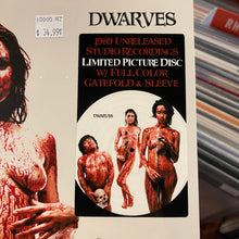 Load image into Gallery viewer, DWARVES - SUNSHINE, LOLIPOPS &amp; RAINBOWS [RSD25] (PIC DISC)
