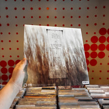 Load image into Gallery viewer, [USED] RICH ROBINSON - THE CEASELESS SIGHT (2xLP)
