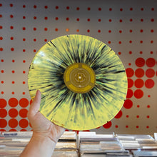 Load image into Gallery viewer, [USED] TREY ANASTASIO - PAPER WHEELS (2xLP BOX SET)
