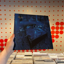 Load image into Gallery viewer, [USED] PHISH - RIFT (2xLP)
