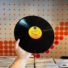 Load image into Gallery viewer, [USED] ICE T - RHYME PAYS (LP)
