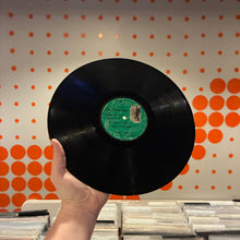 Load image into Gallery viewer, [USED] RAINCOATS - ODYSHAPE (LP)
