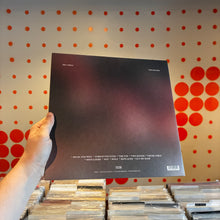 Load image into Gallery viewer, [USED] BIG THIEF - TWO HANDS (LP)

