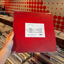 Load image into Gallery viewer, GITS - ETCETERA [RSD26] (LP)
