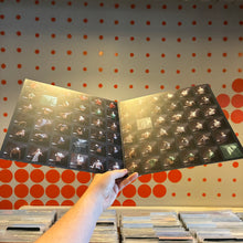 Load image into Gallery viewer, [USED] DOMINIC FIKE - WHAT COULD POSSIBLY GO WRONG (LP)
