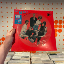 Load image into Gallery viewer, B'52s - WILD PLANET [RSDBF25] (PIC DISC)
