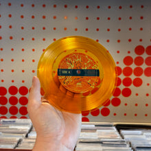 Load image into Gallery viewer, [USED] TREY ANASTASIO - TRAVELER (LP+7")
