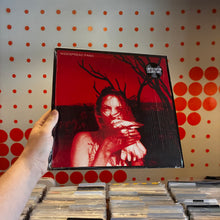 Load image into Gallery viewer, [USED] WIDESPREAD PANIC - EVERYDAY (2xLP)
