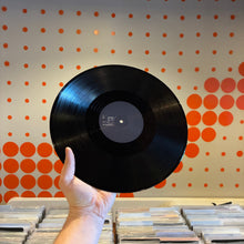 Load image into Gallery viewer, [USED] DOMINIC FIKE - WHAT COULD POSSIBLY GO WRONG (LP)
