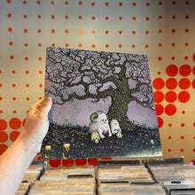 Load image into Gallery viewer, [USED] J MASCIS - TIED TO A STORM (LP)
