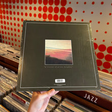 Load image into Gallery viewer, CAAMP - CAAMP (10th ANNIVERSARY) [RSD26] (2xLP)
