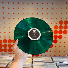 Load image into Gallery viewer, [USED] ANDREW BIRD - MY FINEST WORK (LP)
