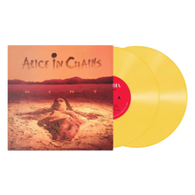 Load image into Gallery viewer, ALICE IN CHAINS - DIRT (2xLP/CD)
