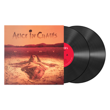 Load image into Gallery viewer, ALICE IN CHAINS - DIRT (2xLP/CD)
