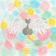 Load image into Gallery viewer, MEI SEMONES - ANIMARU (LP/CD/CASSETTE)

