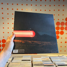 Load image into Gallery viewer, [USED] DOMINIC FIKE - WHAT COULD POSSIBLY GO WRONG (LP)
