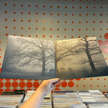 Load image into Gallery viewer, [USED] WOLF ALICE - VISIONS OF A LIFE (2xLP)
